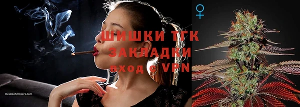 гашик Новодвинск