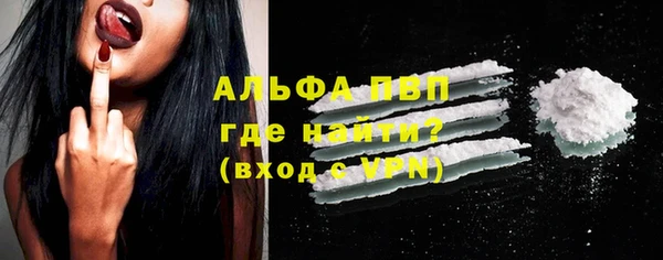 гашик Новодвинск