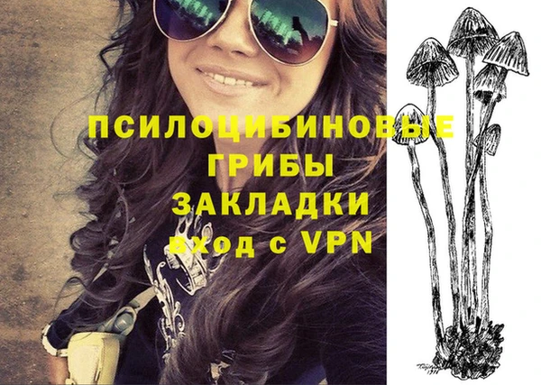 а пвп мука Нея